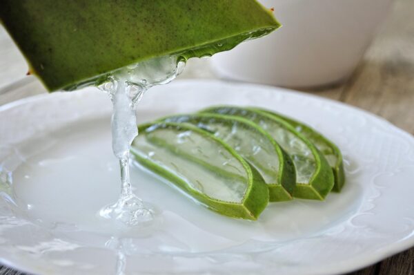 Agua con aloe vera: apoyo natural para la digestión cuando se usa con moderación
